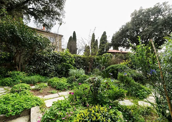 Апартаменти Zuzu